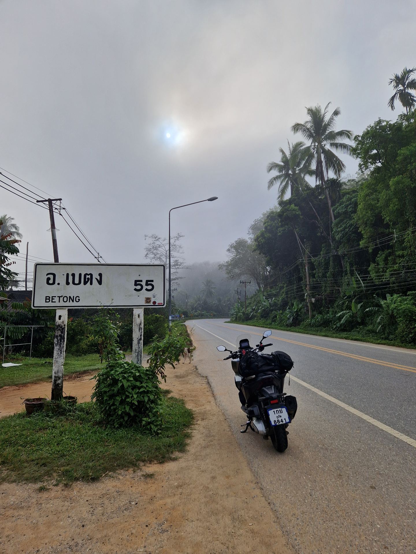 Foggy road through South Thailand